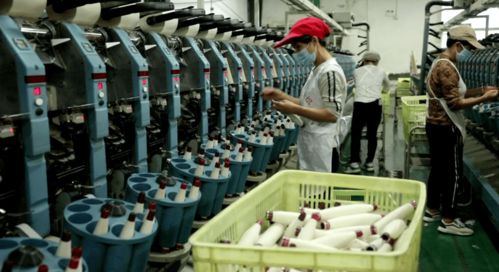 北湖區(qū) 訂單追著企業(yè)跑，服務圍著企業(yè)轉——紡織品產(chǎn)業(yè)的轉型與振興